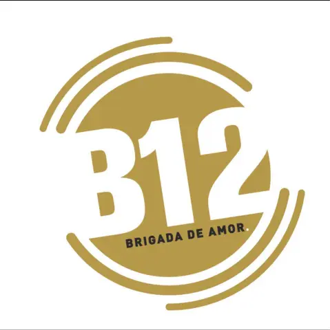 B12 LOGO